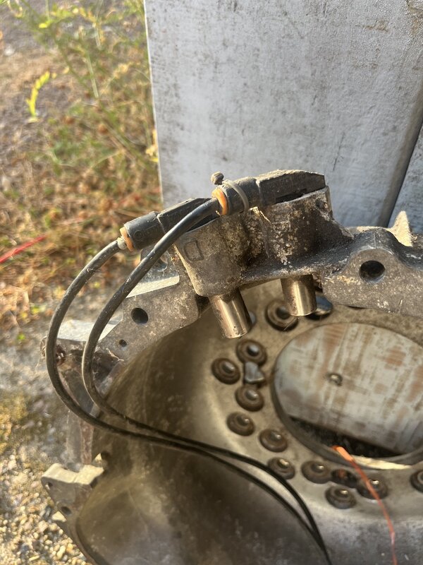 IMG_8876.jpeg