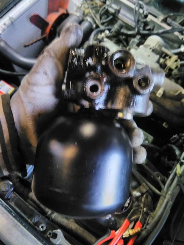 16176791_1517507771611370_112976731_n (Copier).jpg