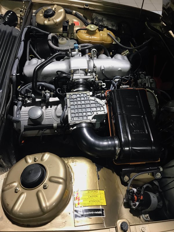 IMG_4287 - copie.jpg