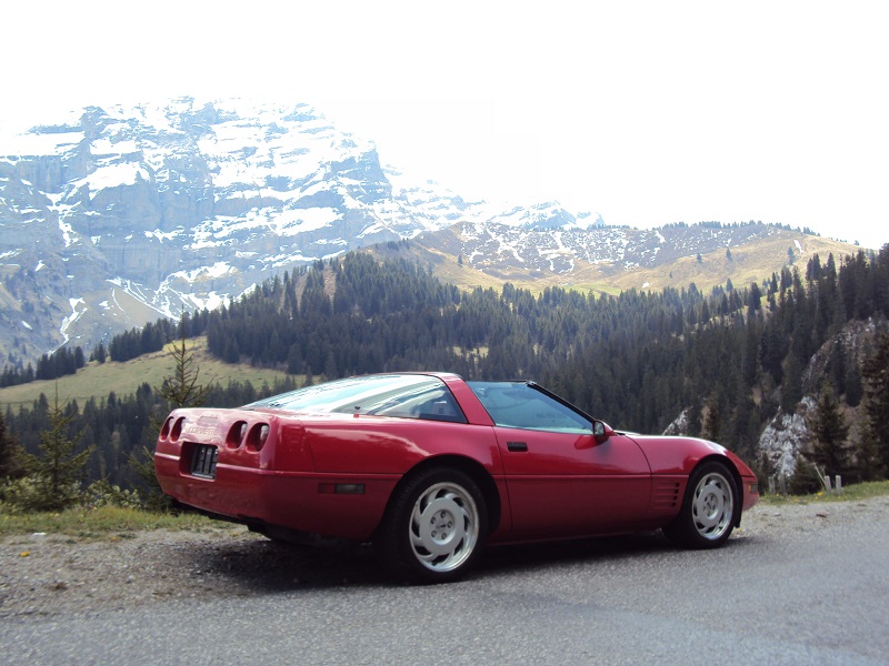 DSC00428 - Copie.JPG