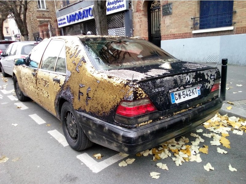Insolite V12 3.jpg