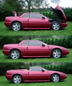 transcup221-profil5.jpg