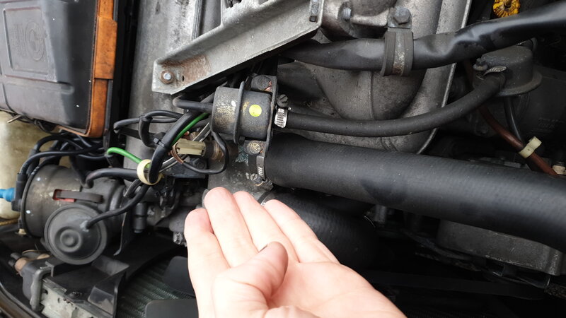 IMG-20230107-WA0003[1].jpeg